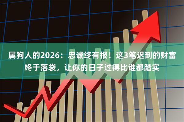 属狗人的2026：忠诚终有报！这3笔迟到的财富终于落袋，让你的日子过得比谁都踏实