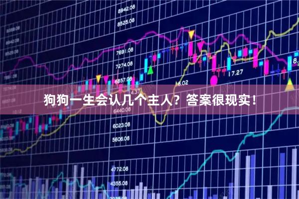 狗狗一生会认几个主人？答案很现实！