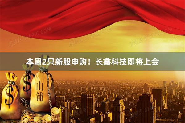 本周2只新股申购!长鑫科技即将上会