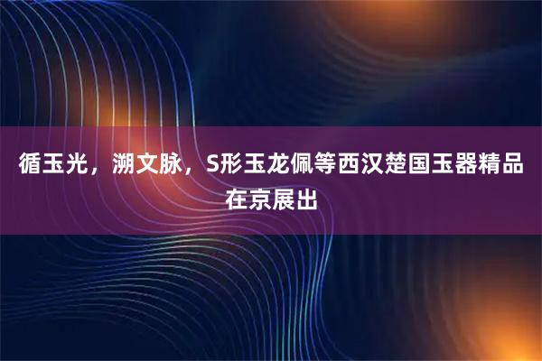 循玉光，溯文脉，S形玉龙佩等西汉楚国玉器精品在京展出