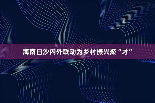 海南白沙内外联动为乡村振兴聚“才”